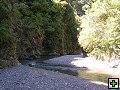 thn_NZ leden-unor 2006 238.jpg